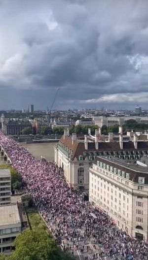 Poliţia Metropolitană: Nouă persoane reţinute în urma protestelor din Londra